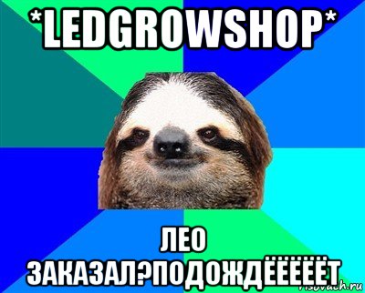 *ledgrowshop* лео заказал?подождёёёёёт, Мем Ленивец