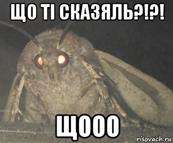 що тi сказяль?!?! щооо