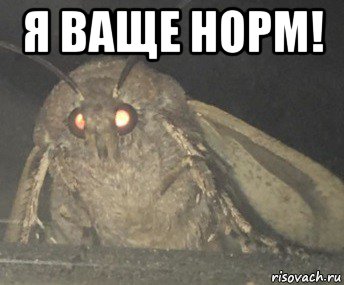 я ваще норм! 