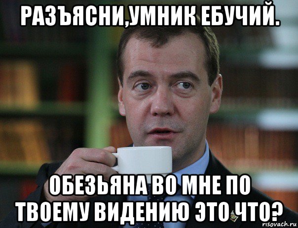 разъясни,умник ебучий. обезьяна во мне по твоему видению это что?, Мем Медведев спок бро