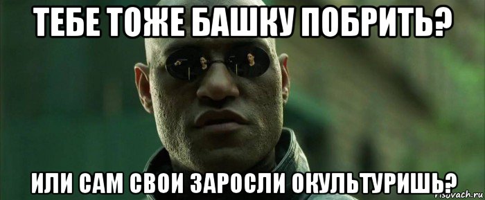 тебе тоже башку побрить? или сам свои заросли окультуришь?, Мем  морфеус