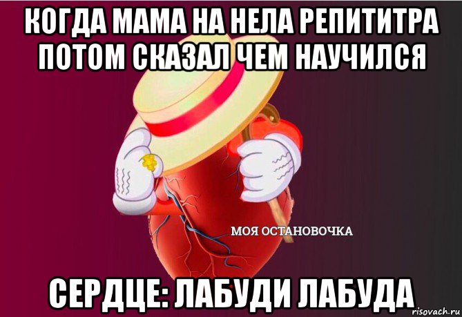 когда мама на нела репититра потом сказал чем научился сердце: лабуди лабуда, Мем   Моя остановочка