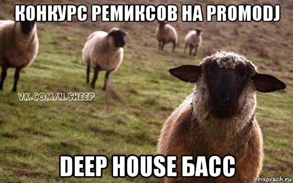 конкурс ремиксов на promodj deep house басс, Мем  Наивная Овца