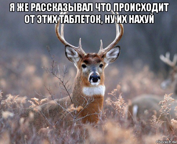 я же рассказывал что происходит от этих таблеток, ну их нахуй , Мем   Наивный олень