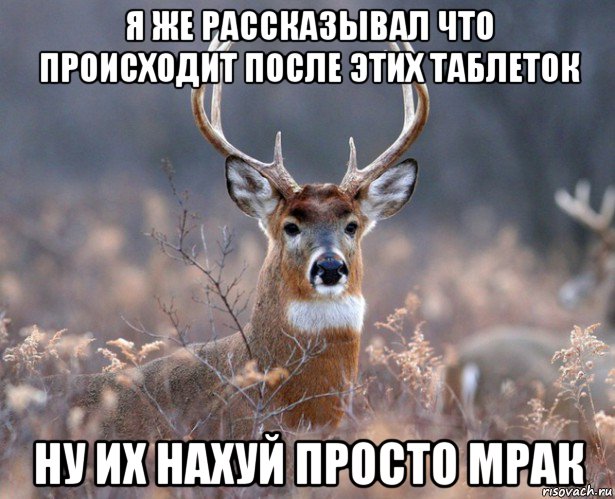 я же рассказывал что происходит после этих таблеток ну их нахуй просто мрак, Мем   Наивный олень