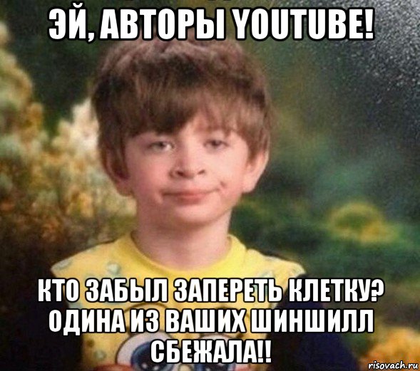 эй, авторы youtube! кто забыл запереть клетку? одина из ваших шиншилл сбежала!!