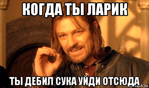 когда ты ларик ты дебил сука уйди отсюда, Мем Нельзя просто так взять и (Боромир мем)