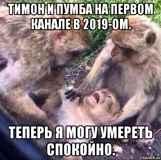 тимон и пумба на первом канале в 2019-ом. теперь я могу умереть спокойно., Мем Обезьяны