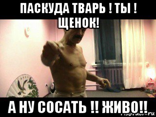 паскуда тварь ! ты ! щенок! а ну сосать !! живо!!