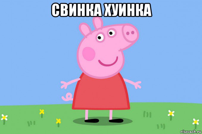 свинка хуинка 