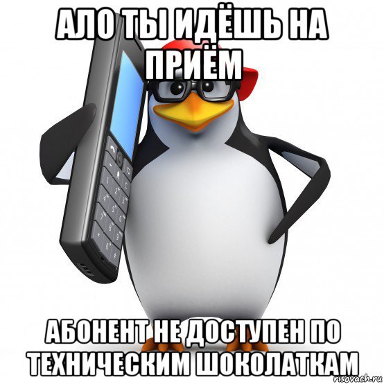 ало ты идёшь на приём абонент не доступен по техническим шоколаткам, Мем   Пингвин звонит