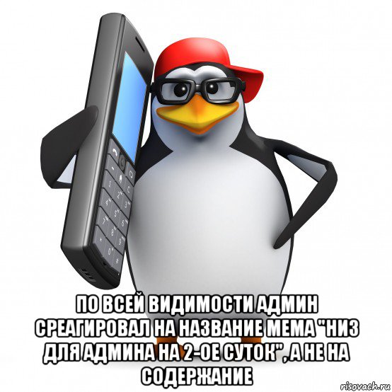  по всей видимости админ среагировал на название мема "низ для админа на 2-ое суток", а не на содержание, Мем   Пингвин звонит