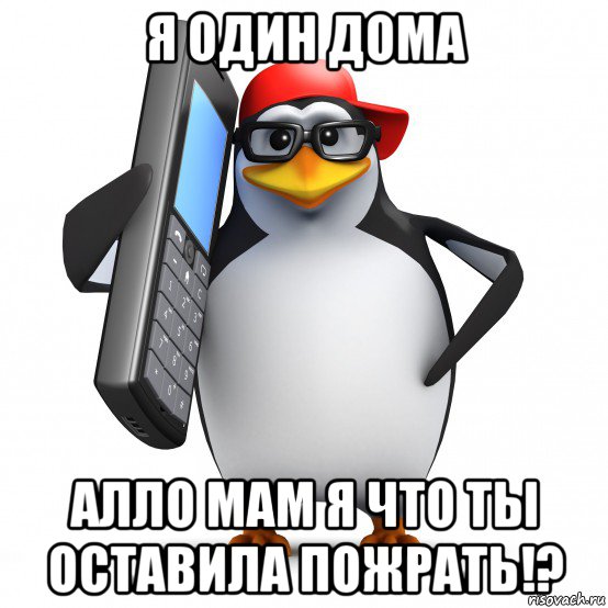 я один дома алло мам я что ты оставила пожрать!?, Мем   Пингвин звонит