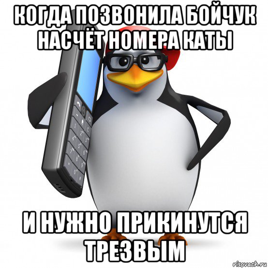 когда позвонила бойчук насчёт номера каты и нужно прикинутся трезвым, Мем   Пингвин звонит