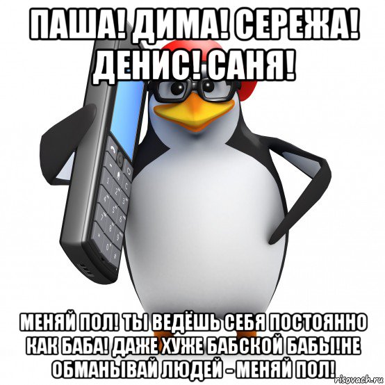 паша! дима! сережа! денис! саня! меняй пол! ты ведёшь себя постоянно как баба! даже хуже бабской бабы!не обманывай людей - меняй пол!, Мем   Пингвин звонит