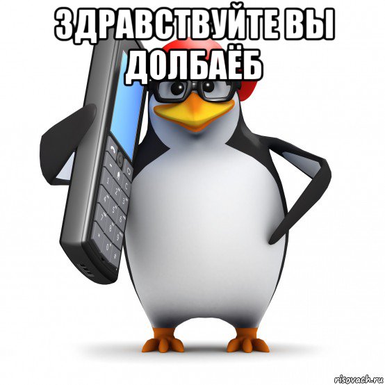 здравствуйте вы долбаёб , Мем   Пингвин звонит