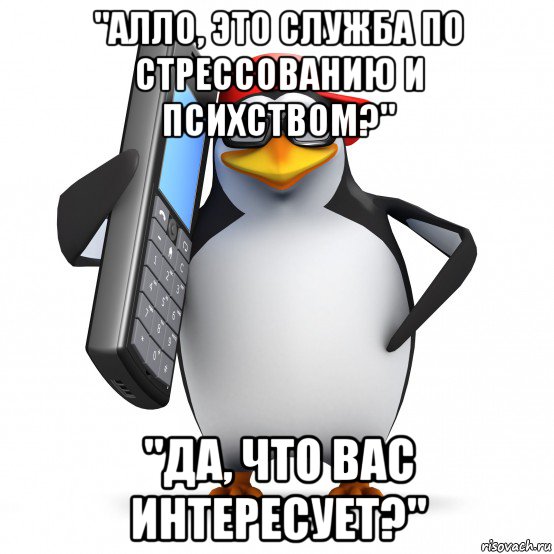 "алло, это служба по стрессованию и психством?" "да, что вас интересует?", Мем   Пингвин звонит