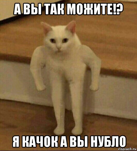 а вы так можите!? я качок а вы нубло, Мем  Полукот