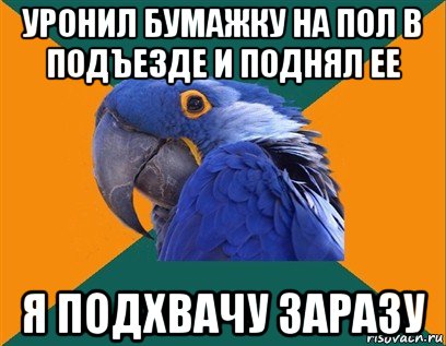 уронил бумажку на пол в подъезде и поднял ее я подхвачу заразу, Мем Попугай параноик