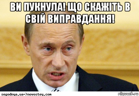 ви пукнула! що скажіть в свій виправдання! , Мем  Путин