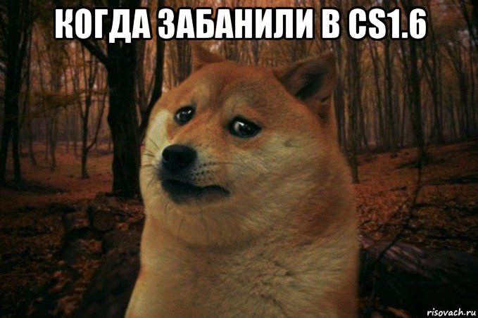 когда забанили в cs1.6 , Мем SAD DOGE