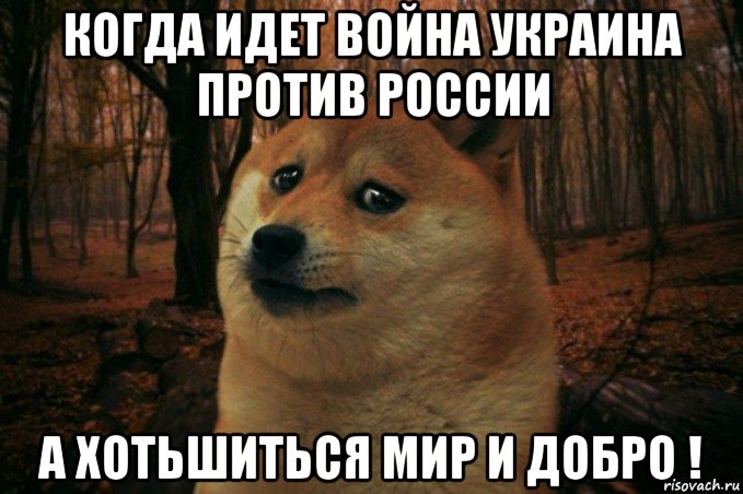 когда идет война украина против россии а хотьшиться мир и добро !, Мем SAD DOGE