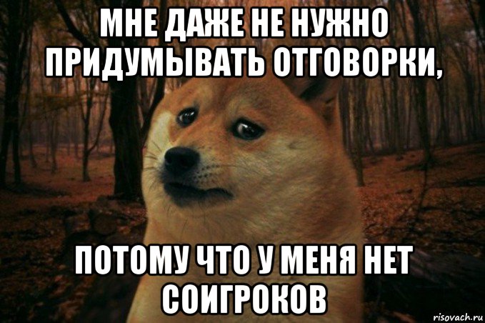 мне даже не нужно придумывать отговорки, потому что у меня нет соигроков, Мем SAD DOGE