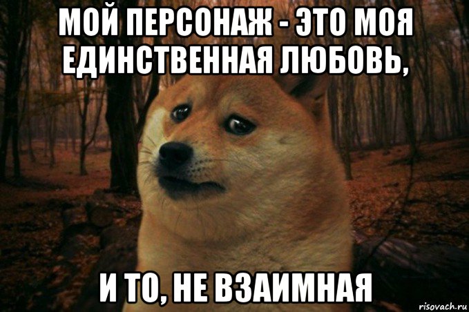 мой персонаж - это моя единственная любовь, и то, не взаимная, Мем SAD DOGE