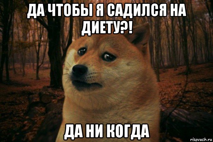 да чтобы я садился на диету?! да ни когда