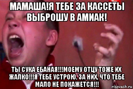 мамаша!я тебе за кассеты выброшу в амиак! ты сука ебаная!!!моему отцу тоже их жалко!!!я тебе устрою, за них, что тебе мало не покажется!!!, Мем  Сашко Фокин орет