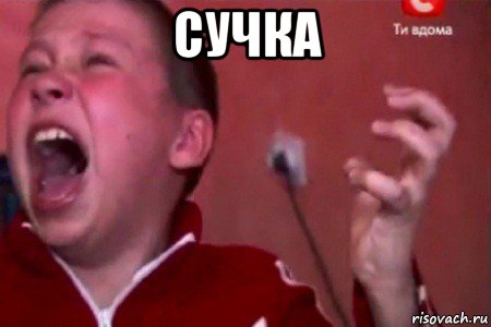 сучка , Мем  Сашко Фокин орет