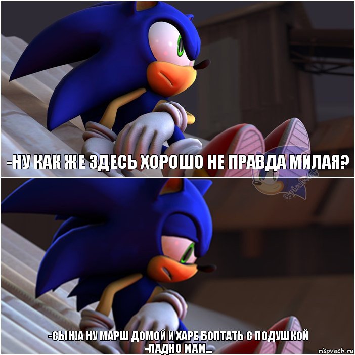 -ну как же здесь хорошо не правда милая? -Сын!А ну марш домой и харе болтать с подушкой
-Ладно мам..., Комикс Sonic 1