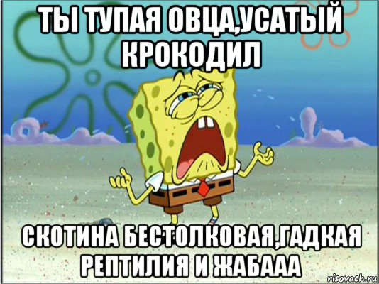 ты тупая овца,усатый крокодил скотина бестолковая,гадкая рептилия и жабааа, Мем Спанч Боб плачет