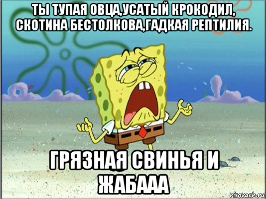 ты тупая овца,усатый крокодил, скотина бестолкова,гадкая рептилия. грязная свинья и жабааа, Мем Спанч Боб плачет