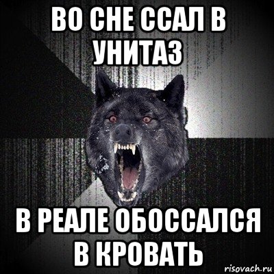 во сне ссал в унитаз в реале обоссался в кровать