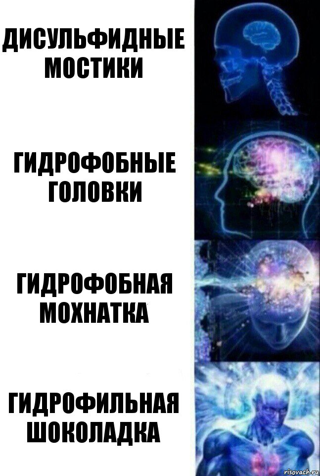 Дисульфидные мостики Гидрофобные головки Гидрофобная мохнатка Гидрофильная шоколадка, Комикс  Сверхразум