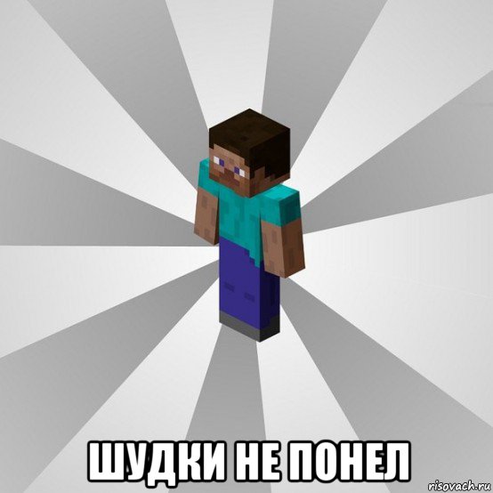  шудки не понел, Мем Типичный игрок Minecraft