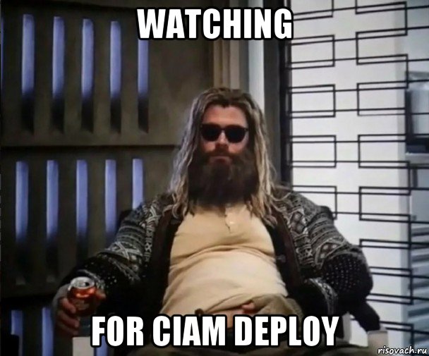 watching for ciam deploy, Мем Толстый Тор