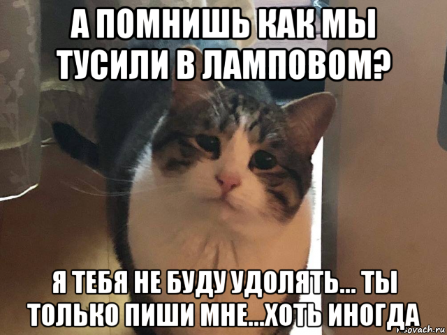 а помнишь как мы тусили в ламповом? я тебя не буду удолять... ты только пиши мне...хоть иногда