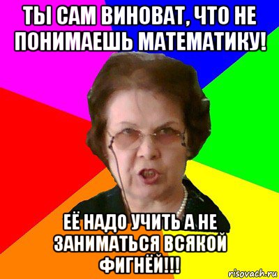 ты сам виноват, что не понимаешь математику! её надо учить а не заниматься всякой фигнёй!!!, Мем Типичная училка