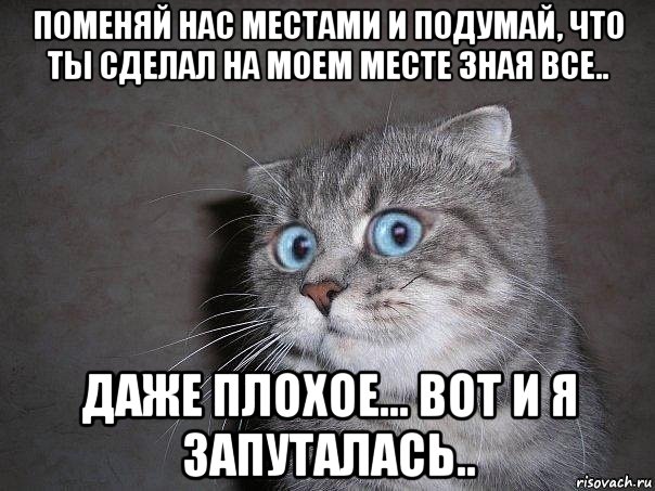 поменяй нас местами и подумай, что ты сделал на моем месте зная все.. даже плохое... вот и я запуталась.., Мем  удивлённый кот