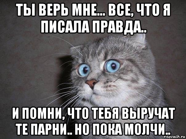 ты верь мне... все, что я писала правда.. и помни, что тебя выручат те парни.. но пока молчи.., Мем  удивлённый кот