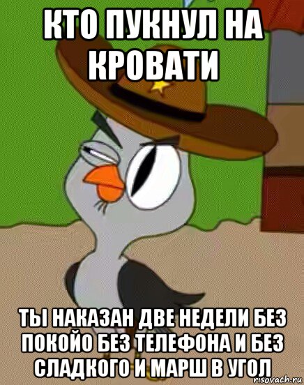 кто пукнул на кровати ты наказан две недели без покойо без телефона и без сладкого и марш в угол, Мем    Упоротая сова