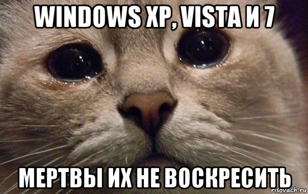 windows xp, vista и 7 мертвы их не воскресить, Мем   В мире грустит один котик