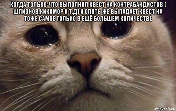 когда только-что выполнил квест на контрабандистов ( шпионов,кикимор и т.д) и опять же выпадает квест на тоже самое только в ещё большем количестве , Мем   В мире грустит один котик