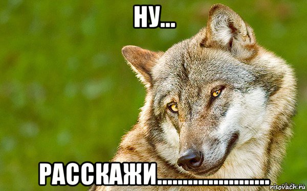 ну... расскажи......................, Мем   Volf