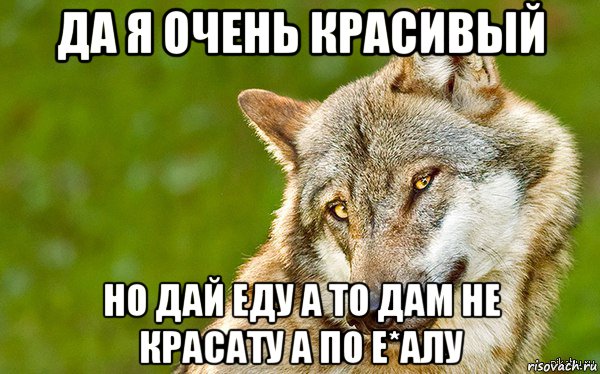 да я очень красивый но дай еду а то дам не красату а по е*алу