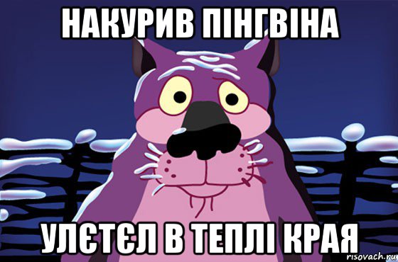 накурив пінгвіна улєтєл в теплі края, Мем Волк