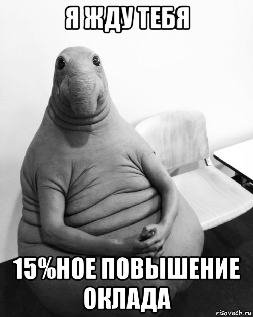 я жду тебя 15%ное повышение оклада, Мем  Ждун