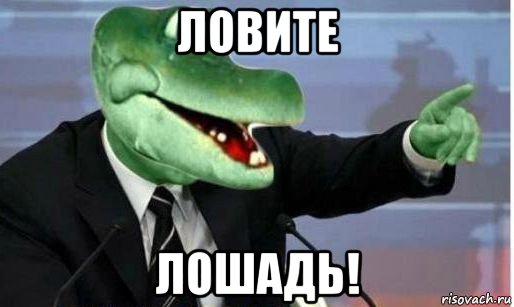 ловите лошадь!